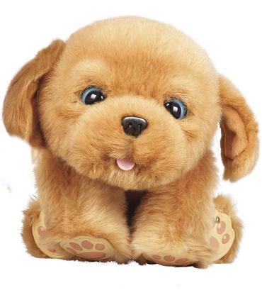 perro-intercanvio-sleepy-puppy