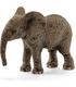 cria-de-elefante-africano