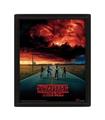 Cuadro 3D Mind Flyer Stranger Things