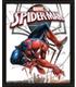 cuadro-lenticular-3d-spider-man