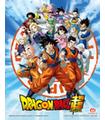 Cuadro 3D Goku and the Z Fighters DB Sup