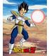cuadro-3d-rivarly-of-power-dragon-ball-z