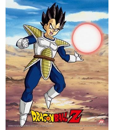 cuadro-3d-rivarly-of-power-dragon-ball-z