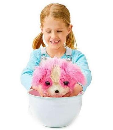 adoptanimals-electronico