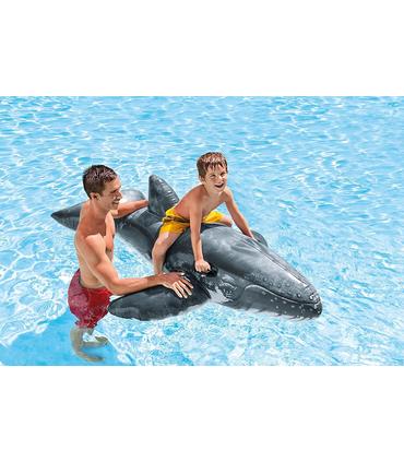 colchoneta-de-ballena