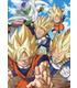 puzzle-500-dragon-ball