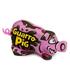 guarro-pig