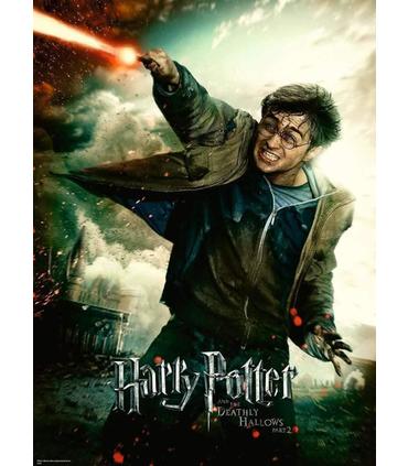 puzzle-harry-potter-100-piezas
