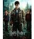 puzzle-harry-potter-300-piezas