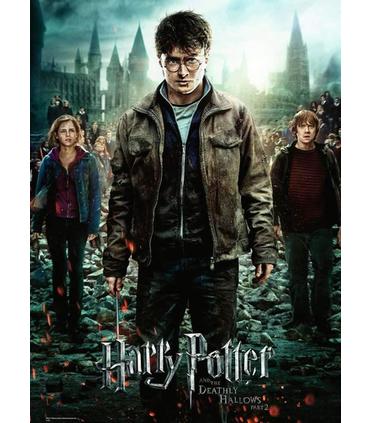 puzzle-harry-potter-300-piezas