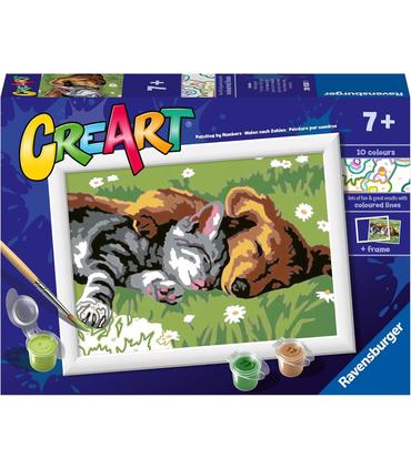 creat-serie-e-gato-y-perro