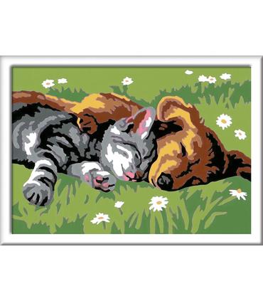 creat-serie-e-gato-y-perro