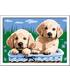 creart-serie-e-perros-retriever