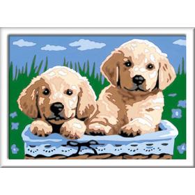 creart-serie-e-perros-retriever