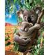 puzzle-koala-con-su-cahorro-500-pz