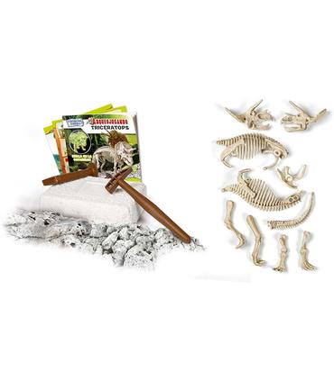 juego-arqueojugando-triceratops-flourecente