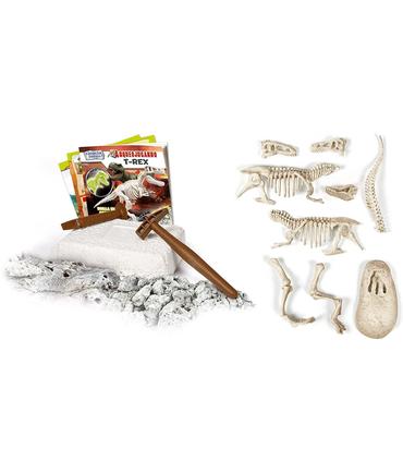 arqueojugando-t-rex-flourescente-20x24x6