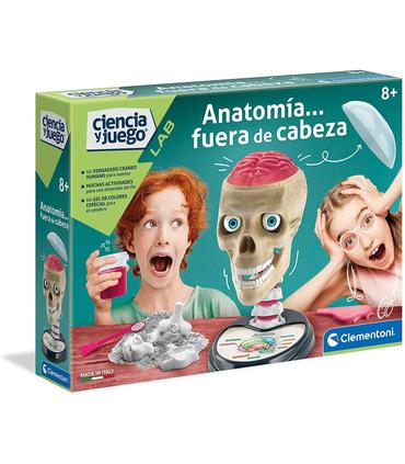 anatomia
