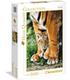 puzzle-tigre-de-bengala-y-su-madre-500-pz