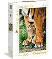 Puzzle Tigre De Bengala y Su Madre 500 Pz