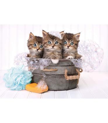 puzzle-lovely-kittens-180-pz