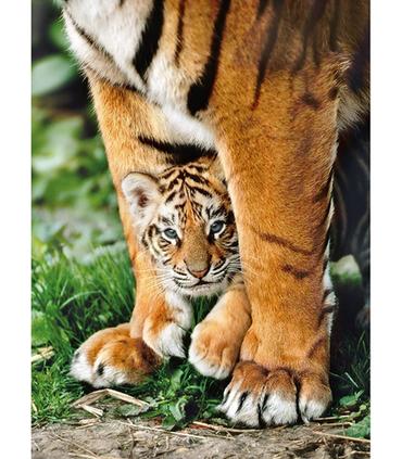 puzzle-tigre-de-bengala-y-su-madre-500-pz