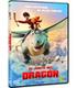 el-jinete-del-dragon-dvd