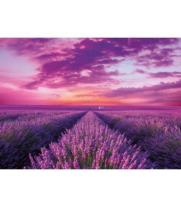 puzzle-hqc-levender-field-1000-pz