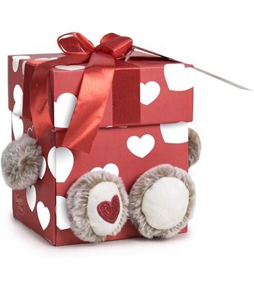 peluche-oso-con-caja-regalo