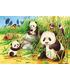 puzzle-dulce-koala-y-panda-2x24-pz