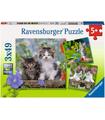 Puzzle Gatitos Atigrados 3x49 Pz