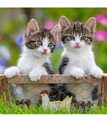 puzzle-gatitos-atigrados-3x49-pz