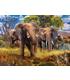 familia-de-elefantes-puzzle-500-pz