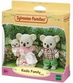 Familia Koala