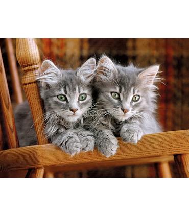 puzzle-kittens-500-pz