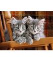 Puzzle Kittens 500 Pz