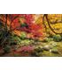 puzzle-parque-en-otono-1500-pz