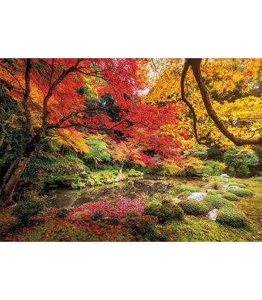 puzzle-parque-en-otono-1500-pz