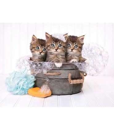 puzzle-kittens-and-soap-500-pz