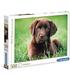 puzzle-perrito-chocolate-500-pz