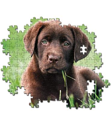 puzzle-perrito-chocolate-500-pz