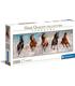 puzzle-horses-panorama-1000-pz
