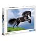 puzzle-caballo-negro-500-piezas