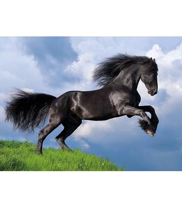 puzzle-caballo-negro-500-piezas