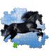 puzzle-caballo-negro-500-piezas