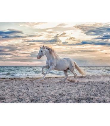 puzzle-caballo-en-la-playa-500-pz