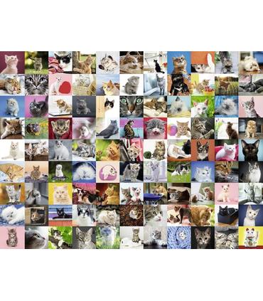 puzzle-99-gatos-1500-pz
