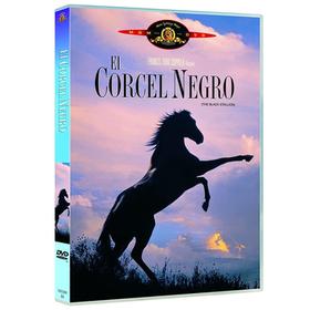 el-corcel-negro-dvd-reacondicionado