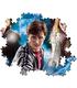 puzzle-hqc-harry-potter-500-pz