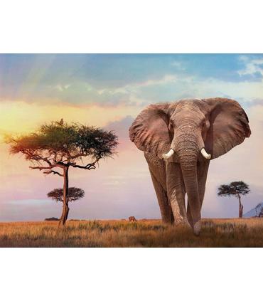 puzzle-puesta-de-sol-en-africa-500-pz